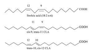 Figure 1. Structure of Conjugated Linoleic Acid (CLA)
